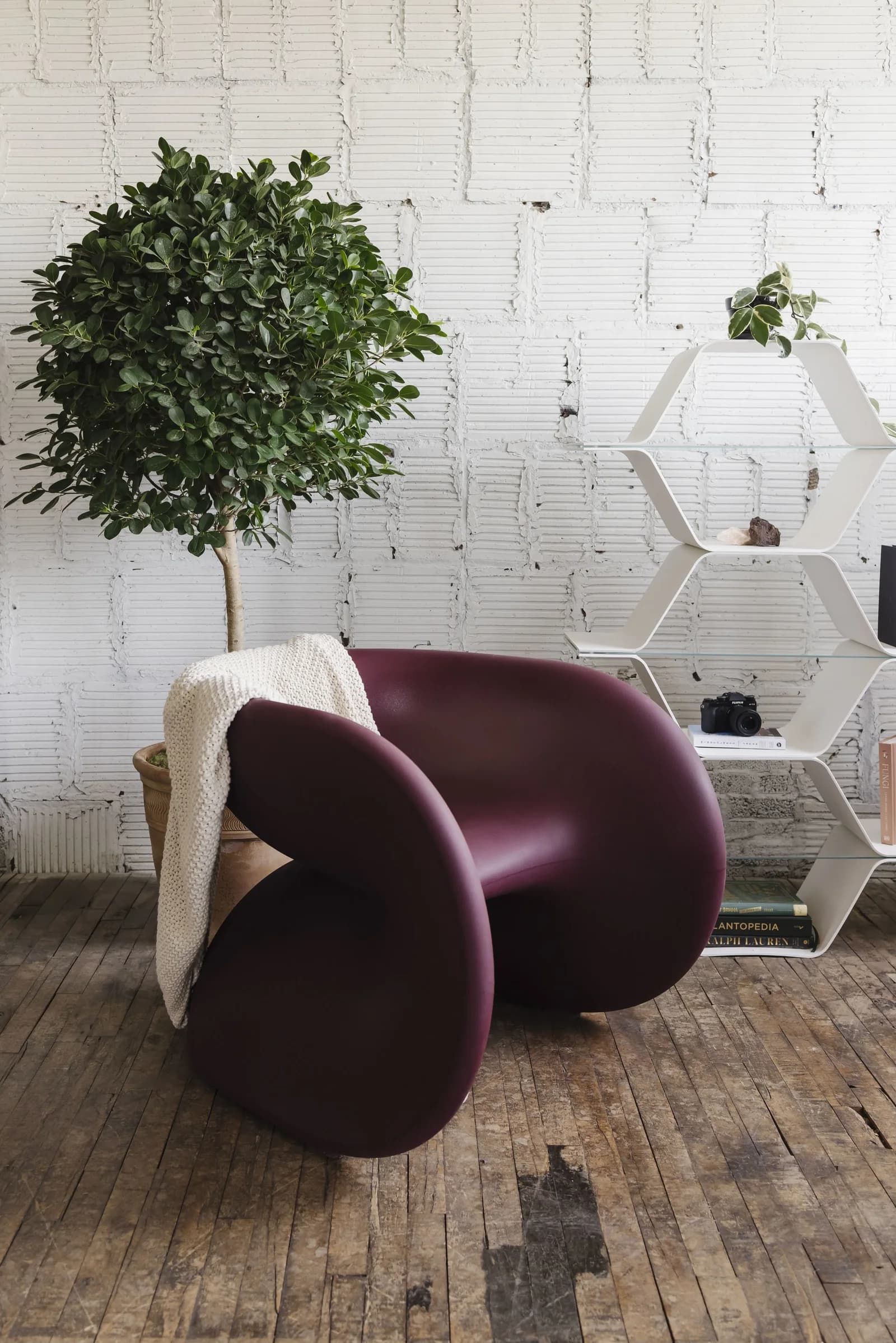A plum Fortune chair on worn floorboards beside white Honeycomb shelving and a potted tree