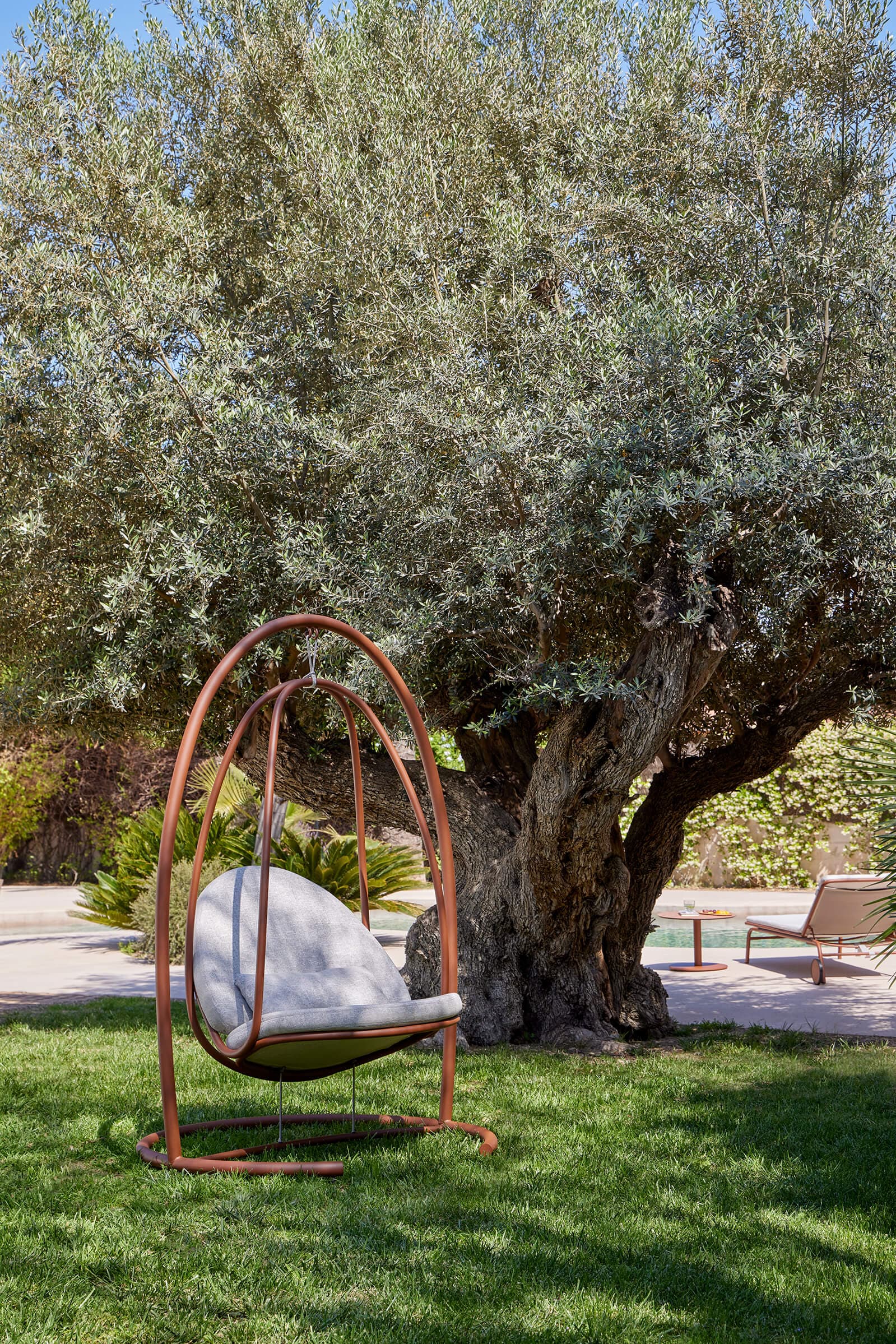 A pink Niu swing chair hanging beneath the branches of an olive tree