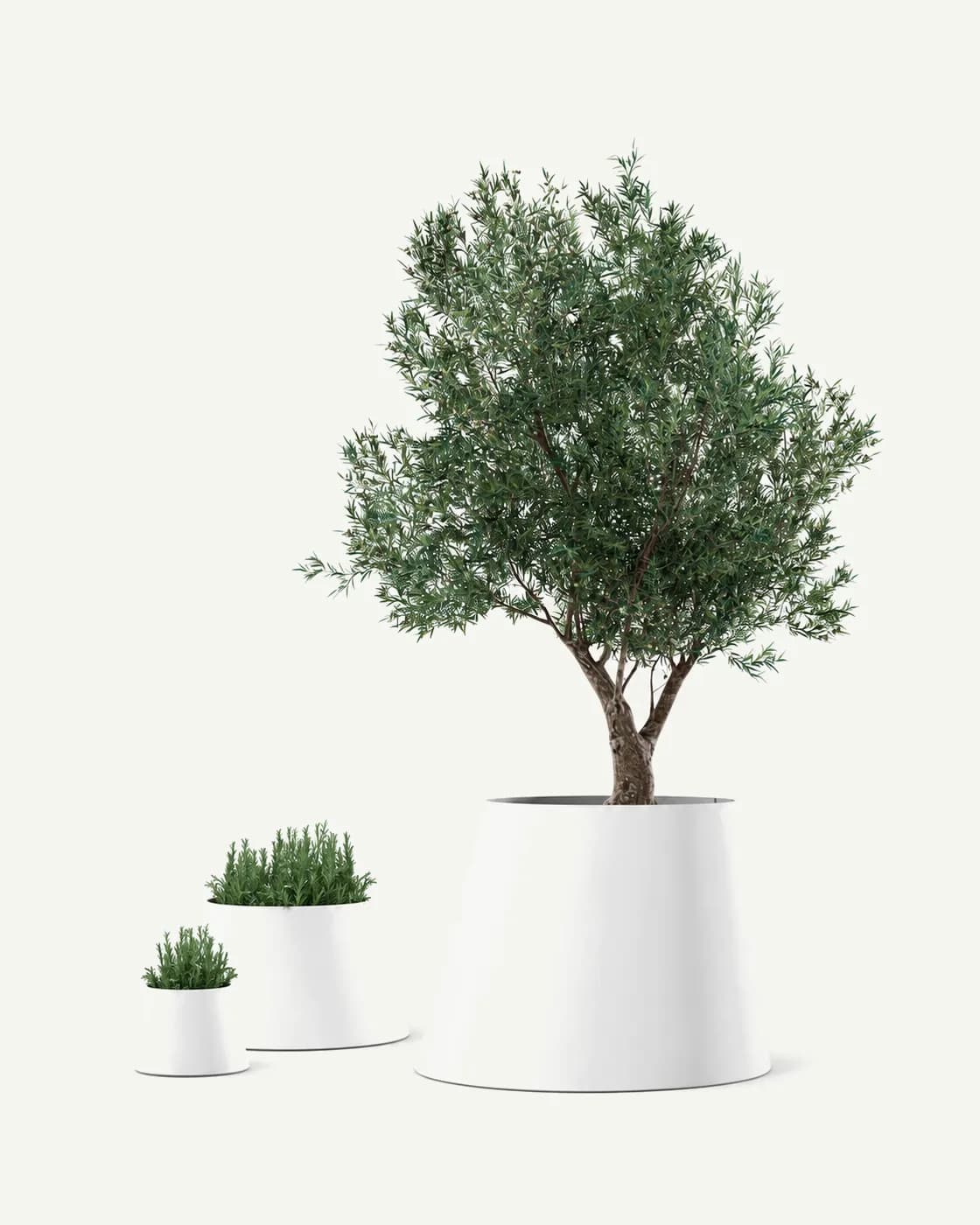 Conee Plant Pot by Víctor Carrasco