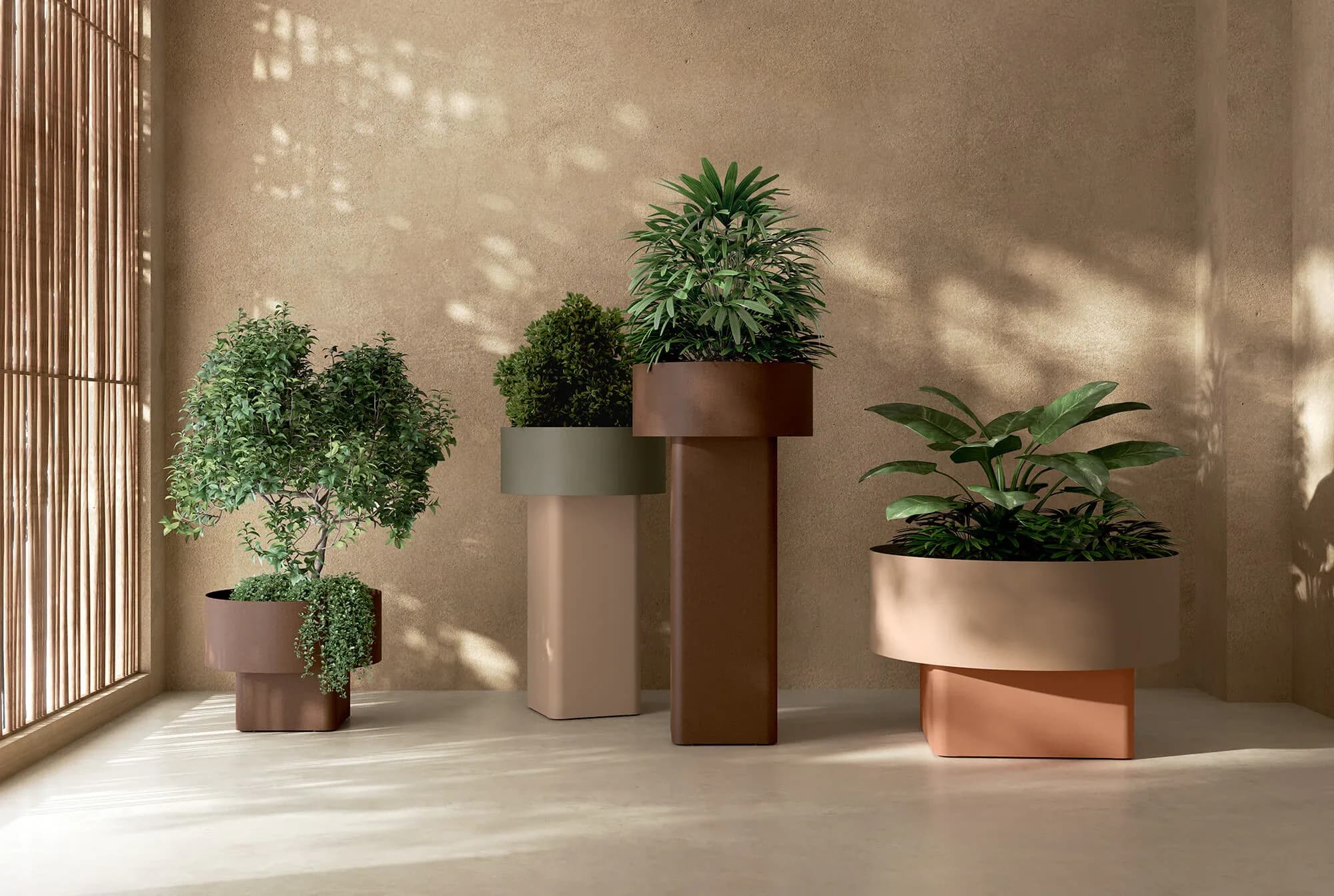 Verissimo in a furnished setting