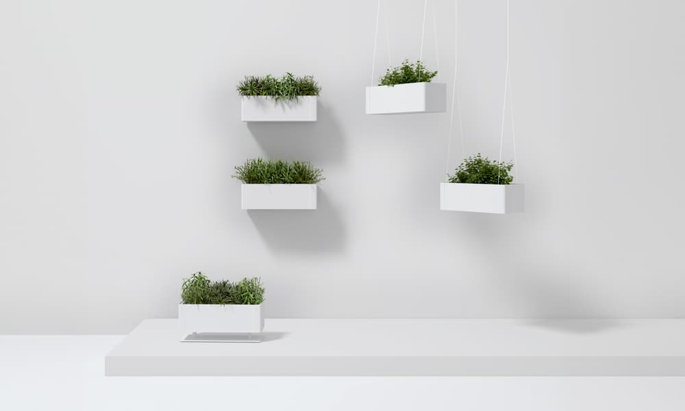 Systemtronic Green Light Planter